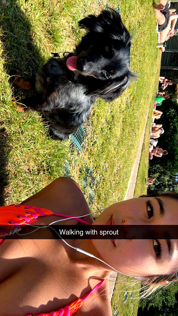 ppwyang0 image ~ Altpins