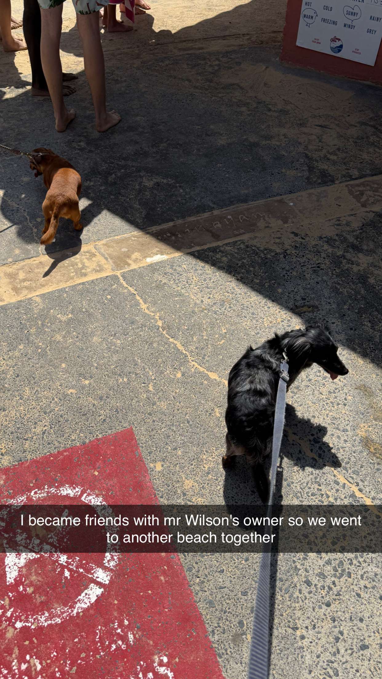 ppwyang0 snapchat image archive image