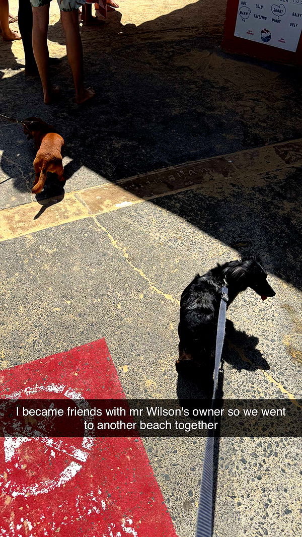 ppwyang0 image ~ Altpins