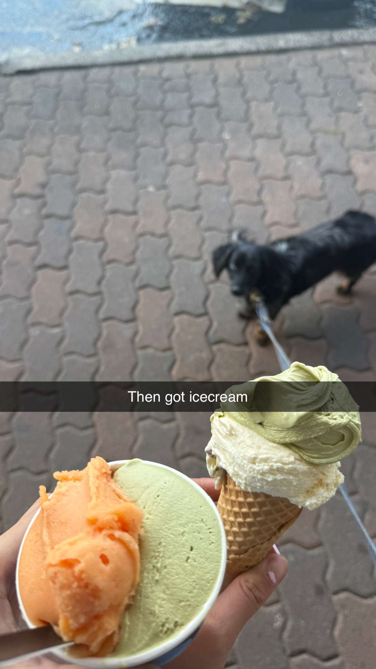 ppwyang0 snapchat image archive image