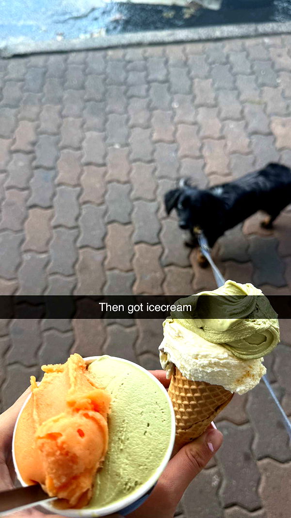 ppwyang0 image ~ Altpins