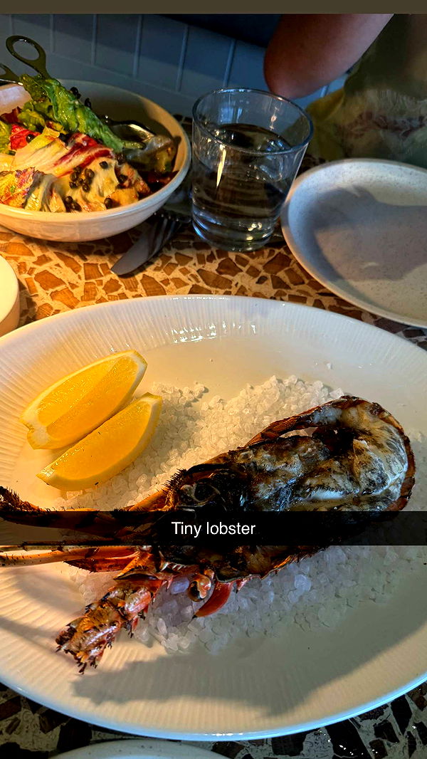 ppwyang0 image ~ Altpins