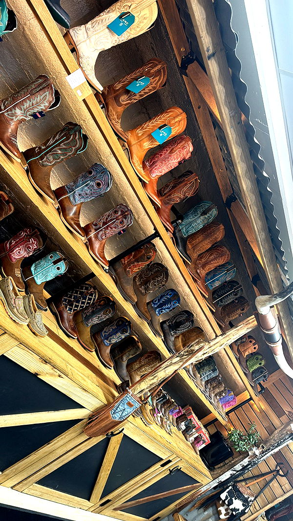 ppwyang0 image ~ Altpins