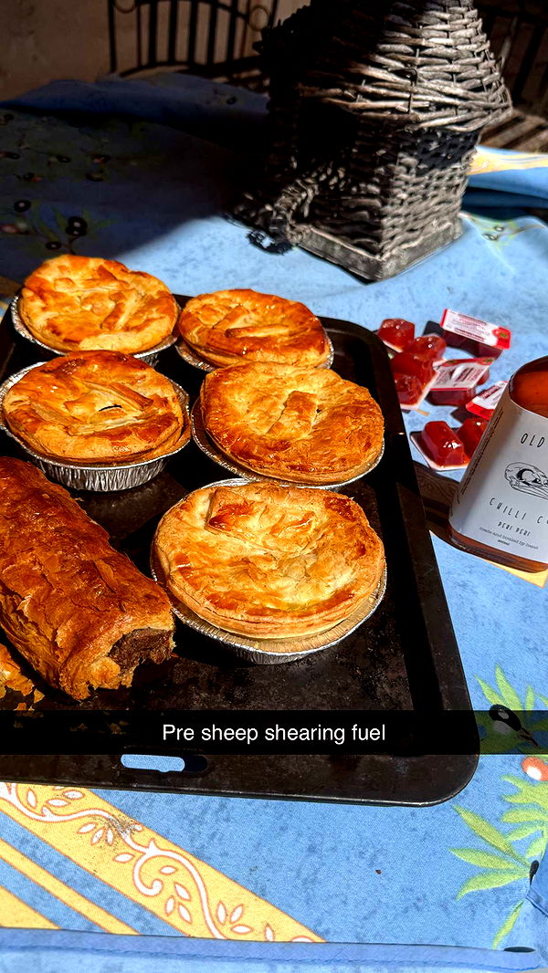 ppwyang0 image ~ Altpins