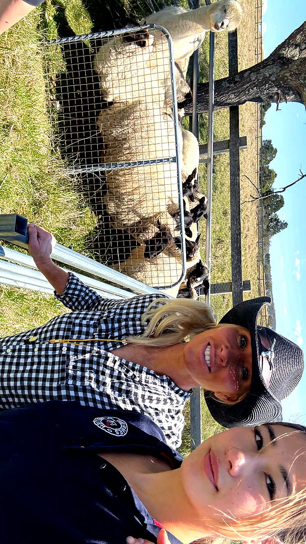 ppwyang0 image ~ Altpins