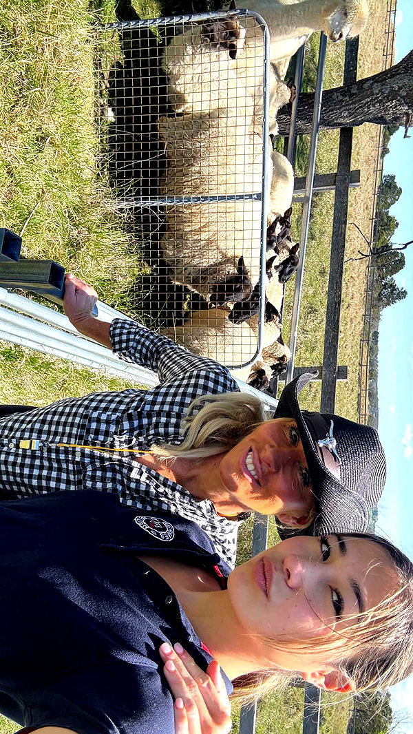 ppwyang0 image ~ Altpins