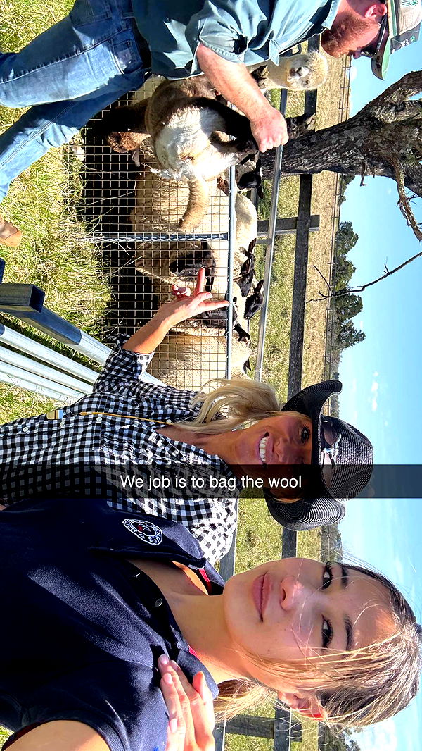 ppwyang0 image ~ Altpins