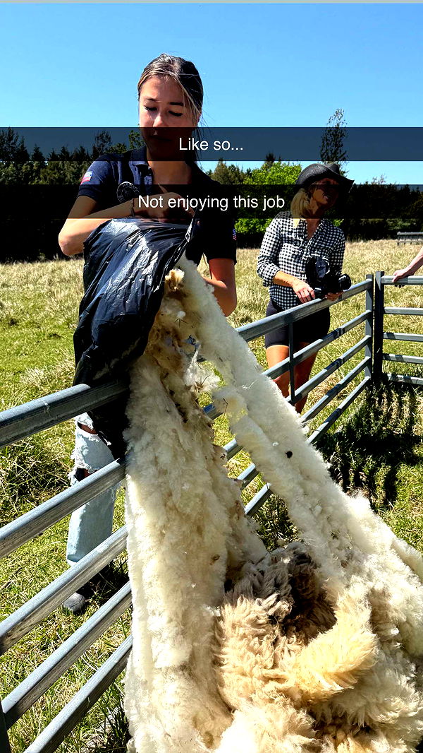 ppwyang0 image ~ Altpins