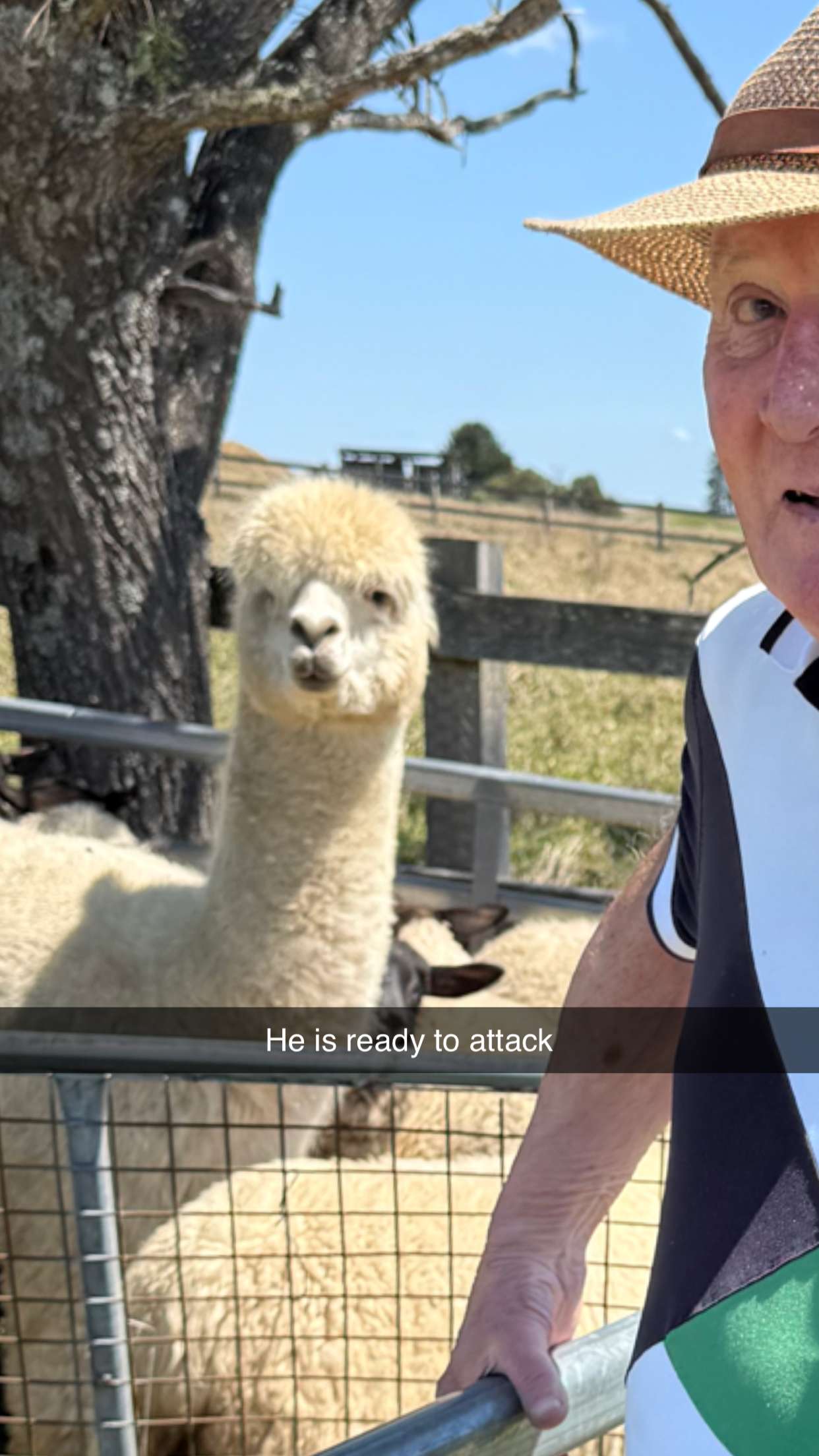 ppwyang0 snapchat image archive image