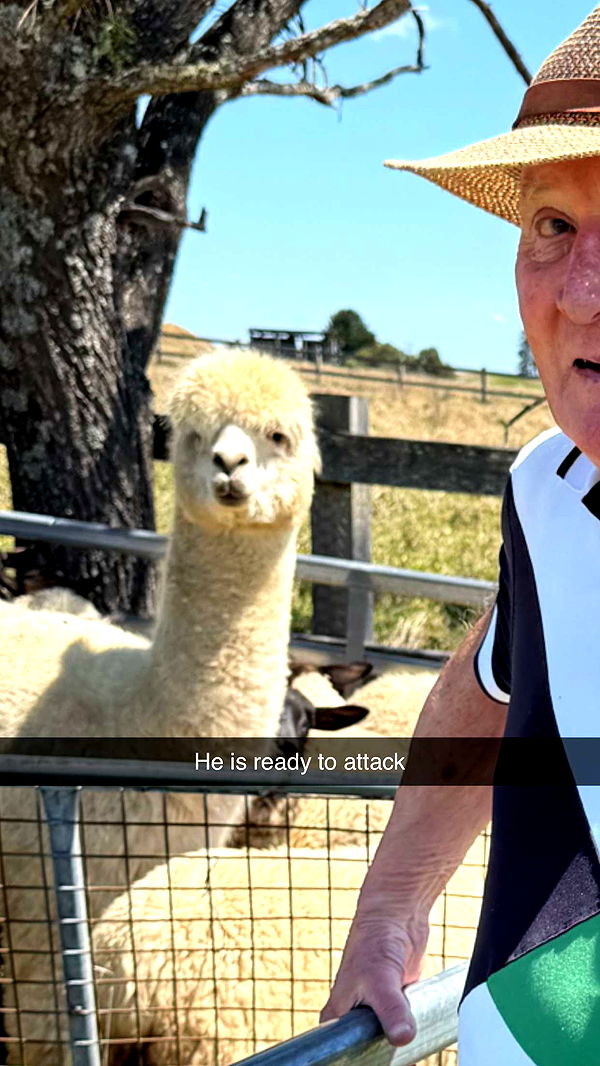 ppwyang0 image ~ Altpins