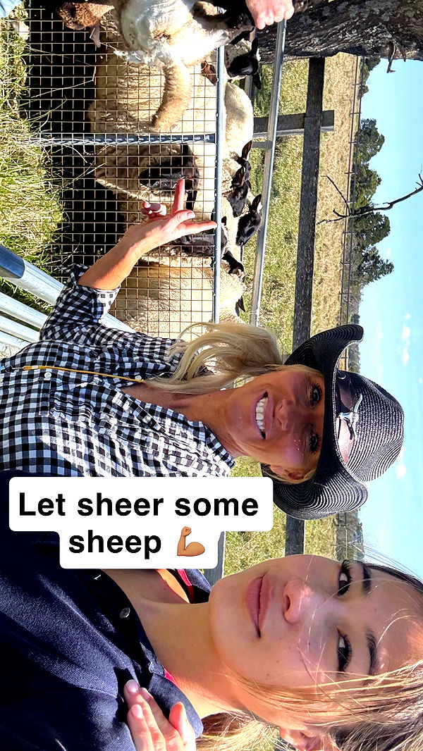 ppwyang0 image ~ Altpins