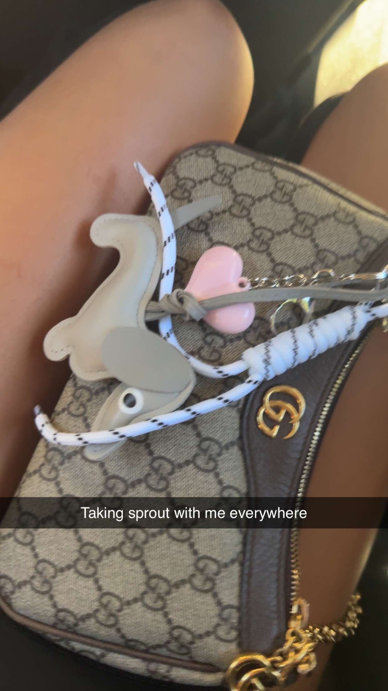 ppwyang0 snapchat image archive image