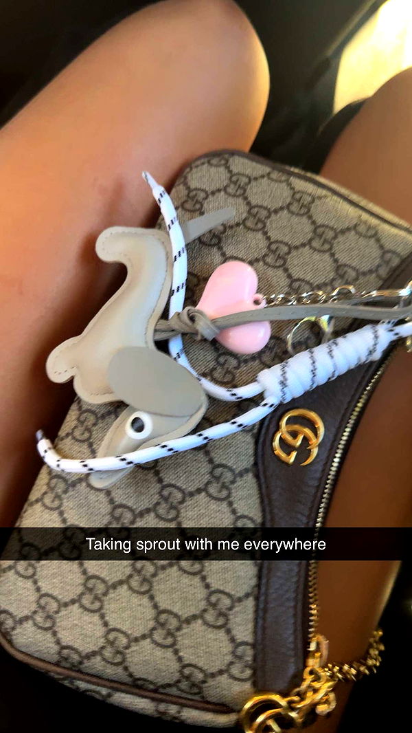 ppwyang0 image ~ Altpins