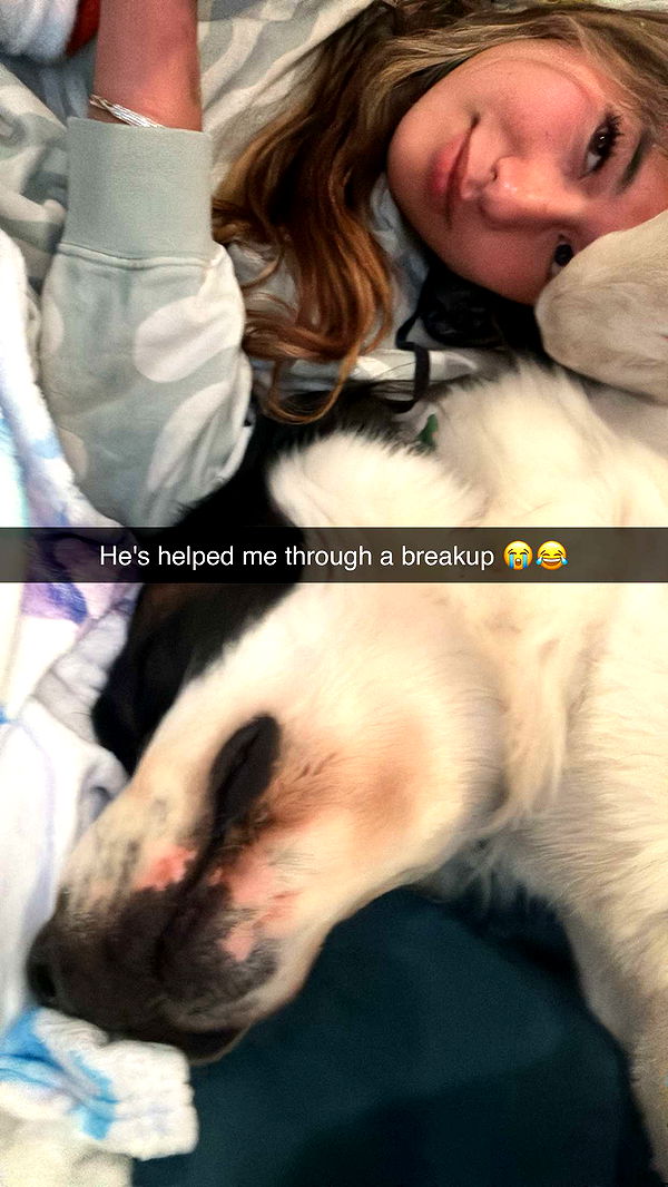 ppwyang0 image ~ Altpins