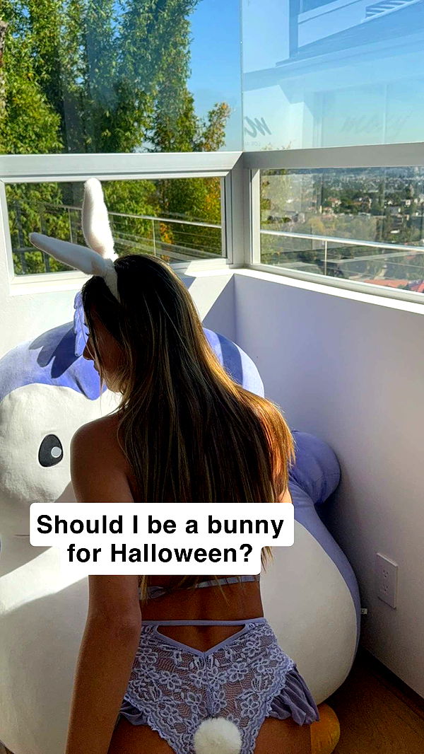 ppwyang0 image ~ Altpins