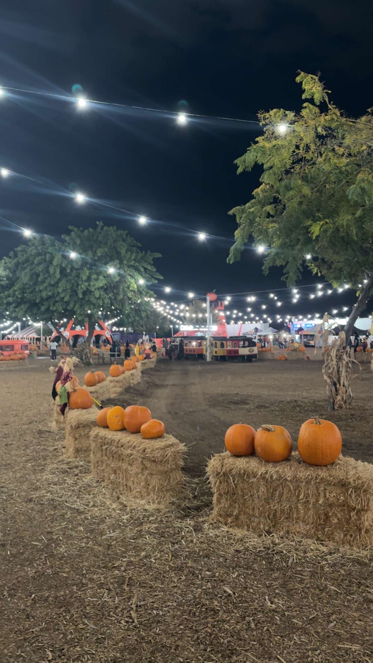 ppwyang0 snapchat image archive image