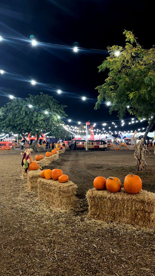 ppwyang0 image ~ Altpins