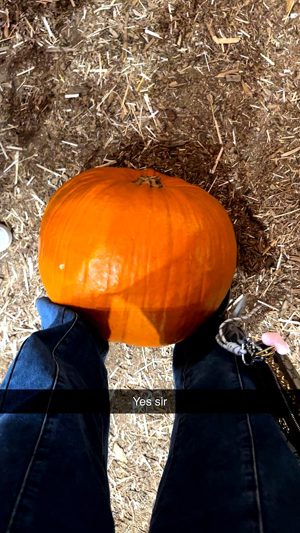 ppwyang0 image ~ Altpins