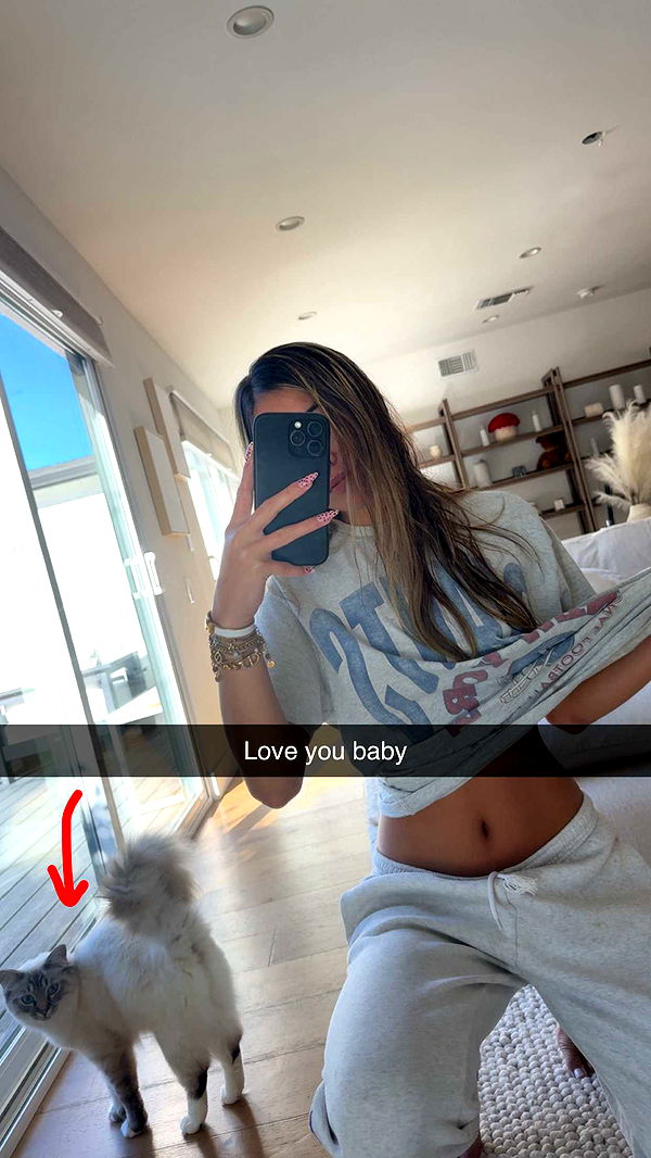 ppwyang0 image ~ Altpins