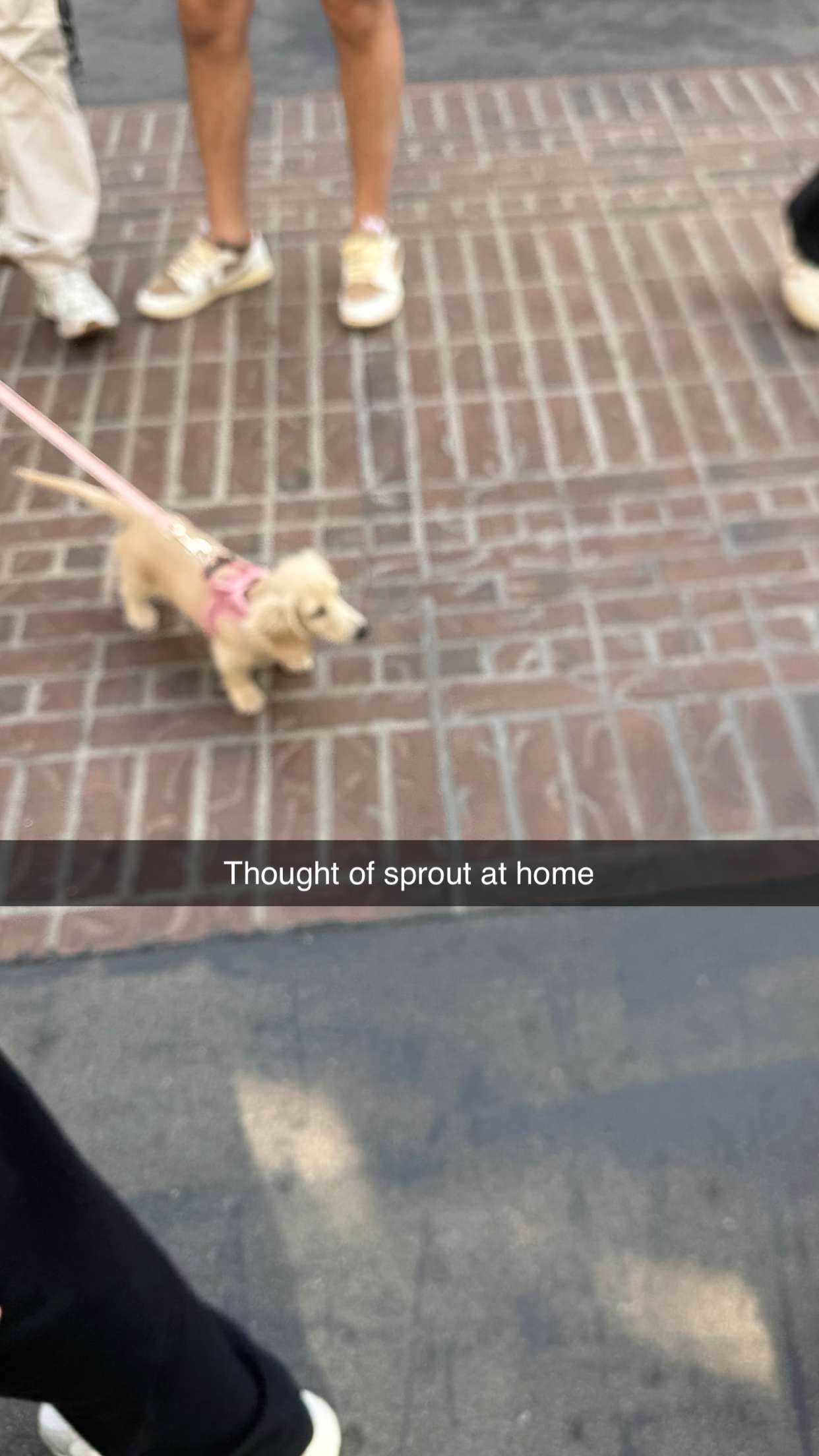 ppwyang0 snapchat image archive image