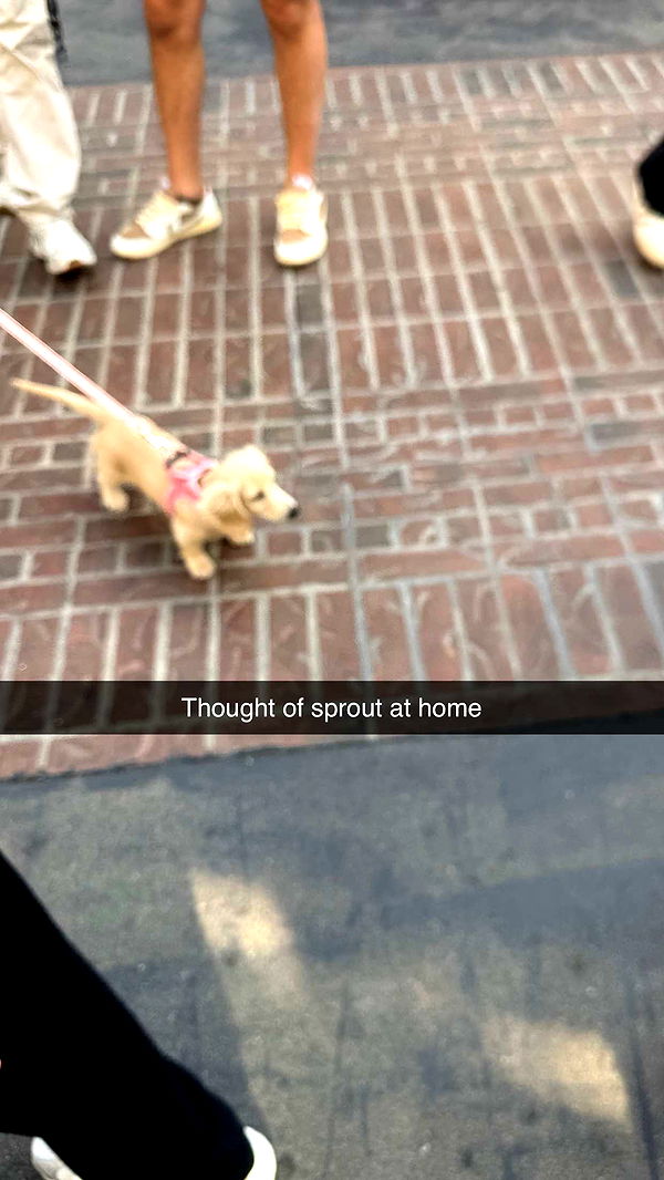 ppwyang0 image ~ Altpins