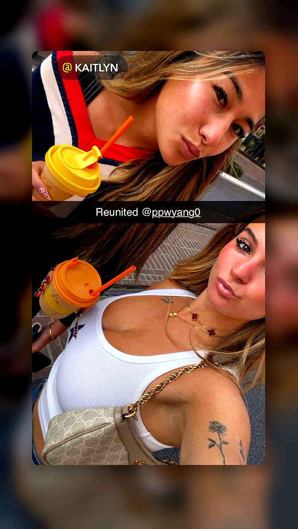 ppwyang0 image ~ Altpins