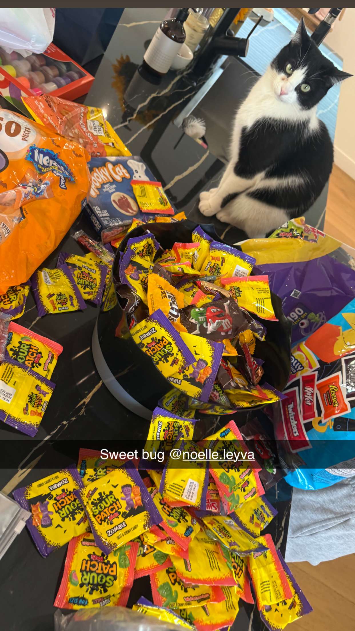 ppwyang0 snapchat image archive image