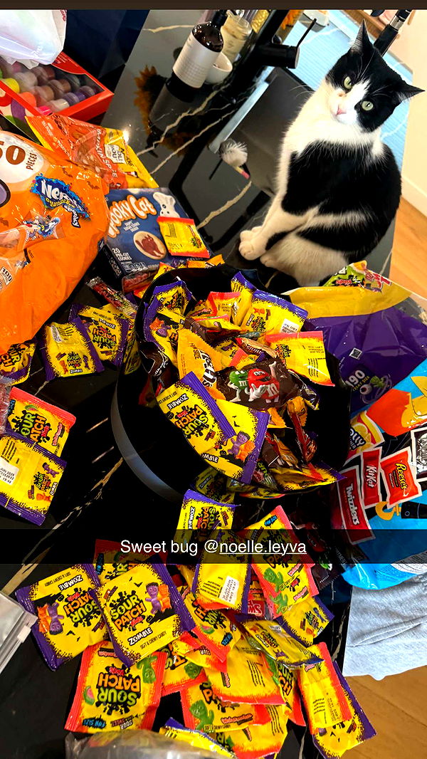 ppwyang0 image ~ Altpins