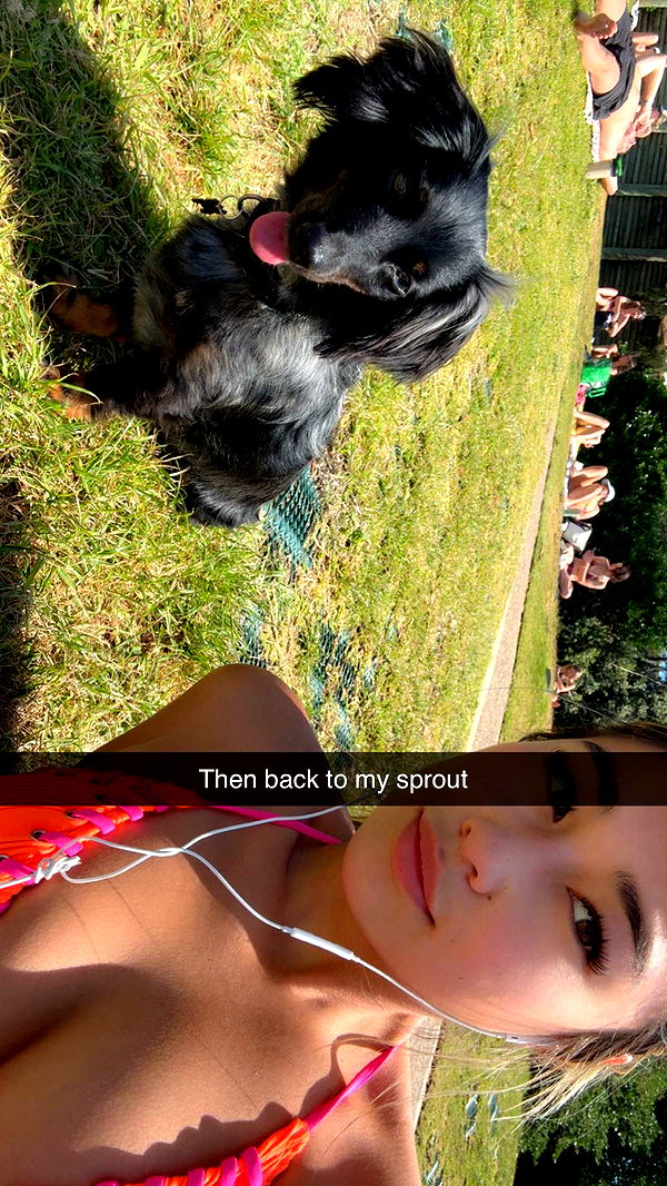 ppwyang0 image ~ Altpins