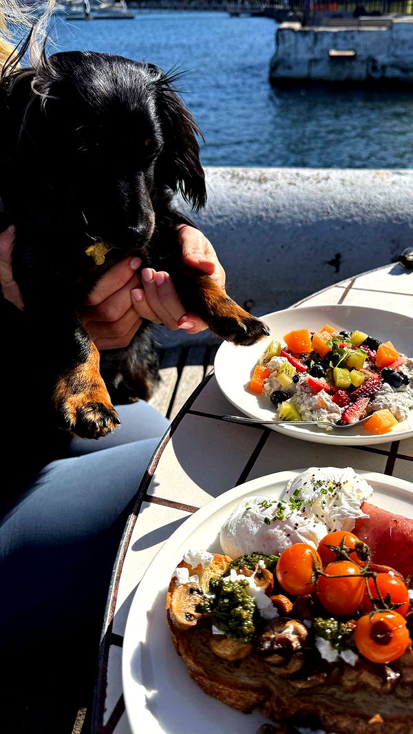 ppwyang0 image ~ Altpins