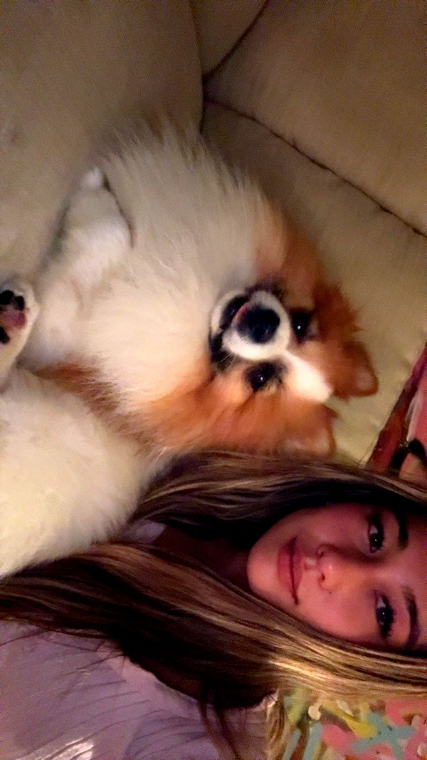 ppwyang0 image ~ Altpins