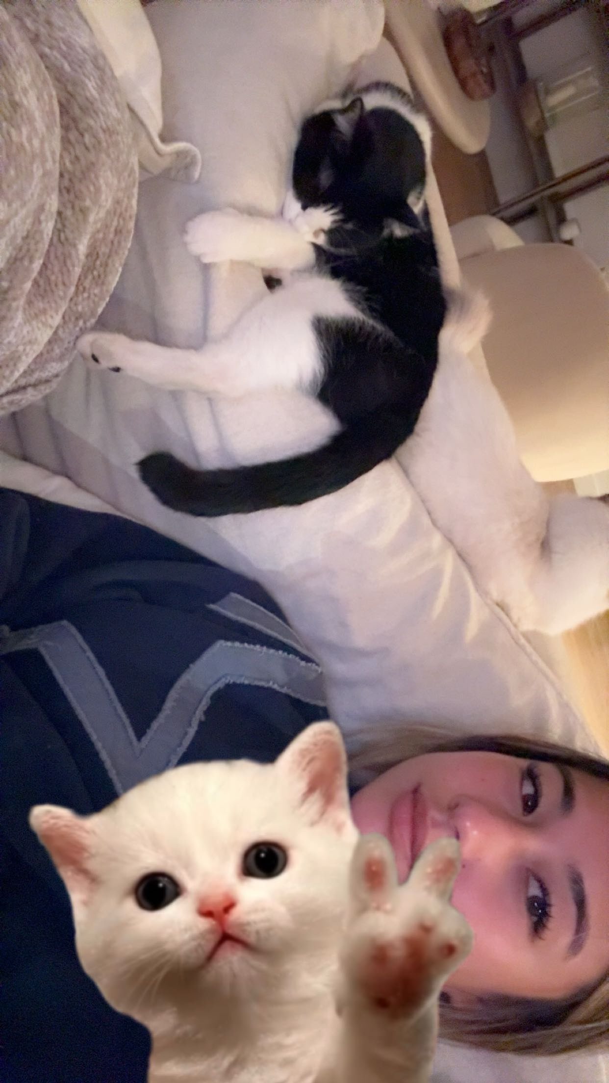 ppwyang0 snapchat image archive image