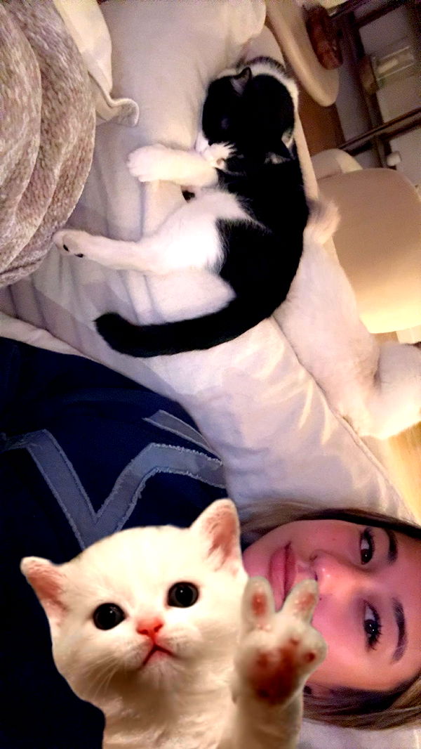 ppwyang0 image ~ Altpins