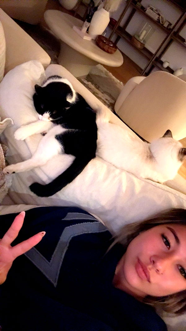 ppwyang0 image ~ Altpins