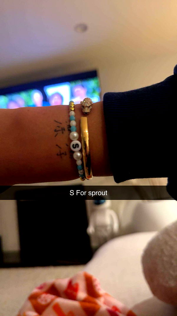 ppwyang0 image ~ Altpins