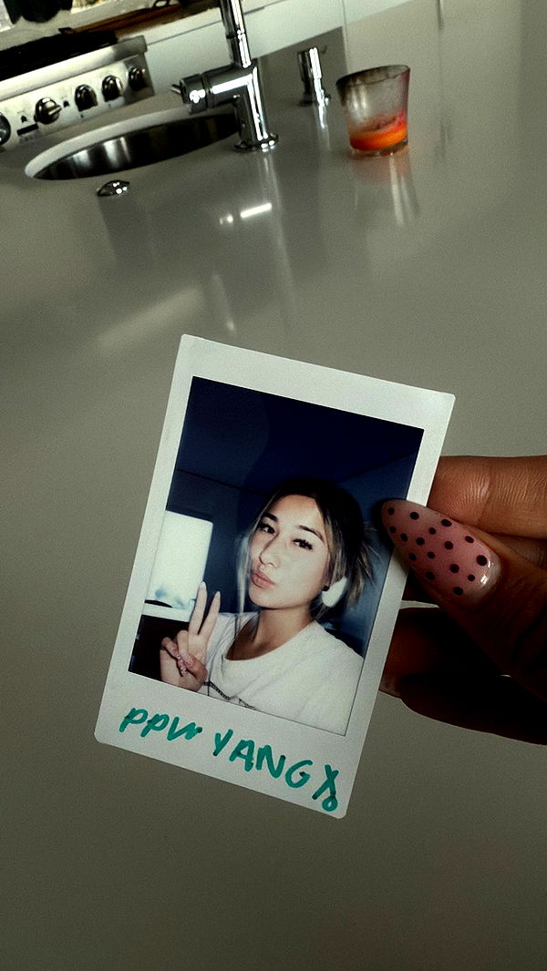 ppwyang0 image ~ Altpins