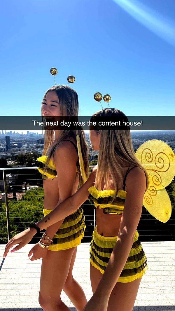 ppwyang0 image ~ Altpins