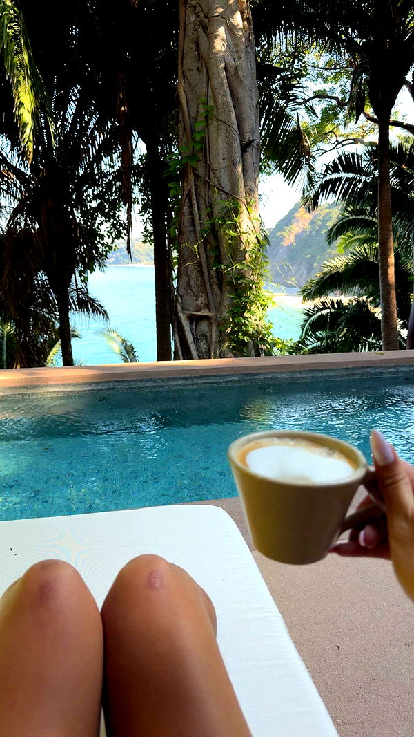 ppwyang0 image ~ Altpins