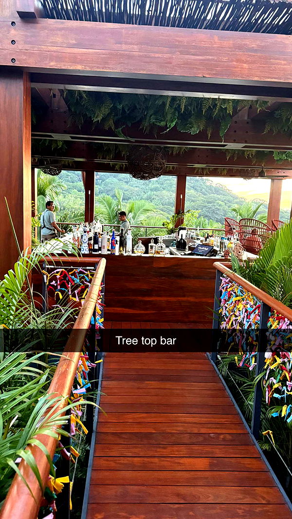 ppwyang0 image ~ Altpins