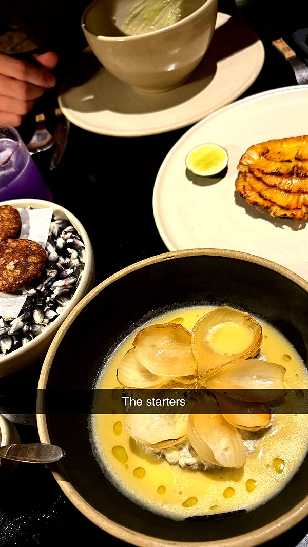 ppwyang0 image ~ Altpins