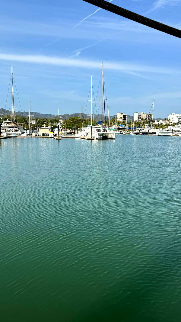 ppwyang0 image ~ Altpins