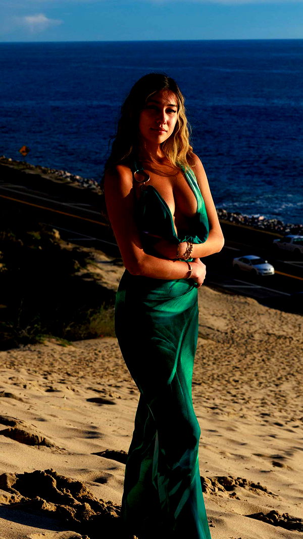 ppwyang0 image ~ Altpins