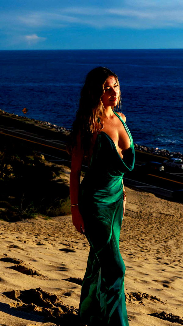 ppwyang0 image ~ Altpins