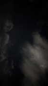 ratskelet0n Altpins Profile Picture
