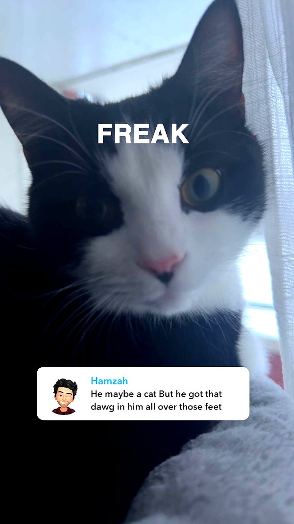 ratskelet0n snapchat image archive image