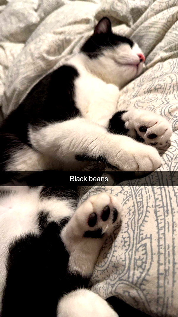 ratskelet0n snapchat image archive image