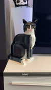 ratskelet0n Altpins Profile Picture