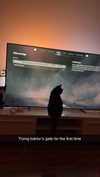 ratskelet0n Altpins Profile Picture
