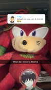 ratskelet0n Altpins Profile Picture