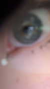 ratskelet0n Altpins Profile Picture